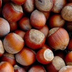 Как дольше сохранить орехи свежими?